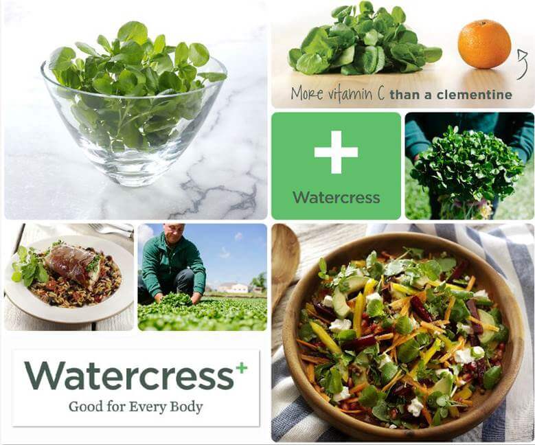 watercress